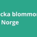 Blombuketter och texten Skicka blommor till Norge